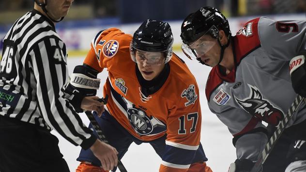 Worcester Railers' Blade Jenkins in action