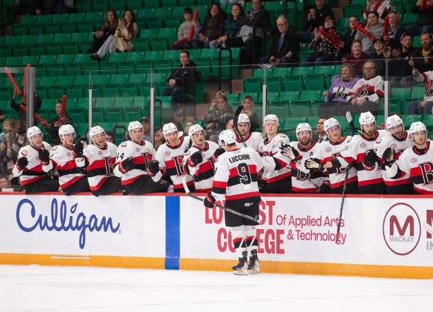 Belleville Senators' Jake Lucchini congratulats teammates