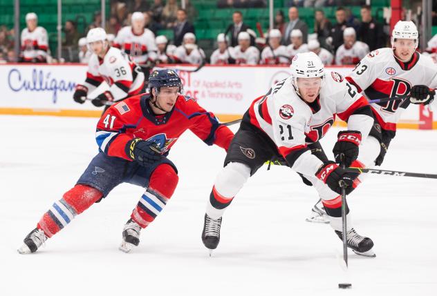 Belleville Senators' Max Guenette versus Springfield Thunderbirds' Will Bitten