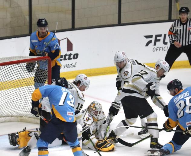 Wheeling Nailers goaltender Taylor Gauthier vs. the Toledo Walleye