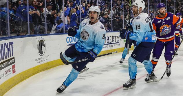Jacksonville Icemen forward Alex Whalen reacts after a goal