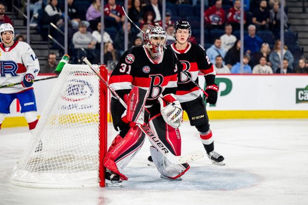 Belleville Senators goaltender Kevin Mandolese against the Laval Rocket