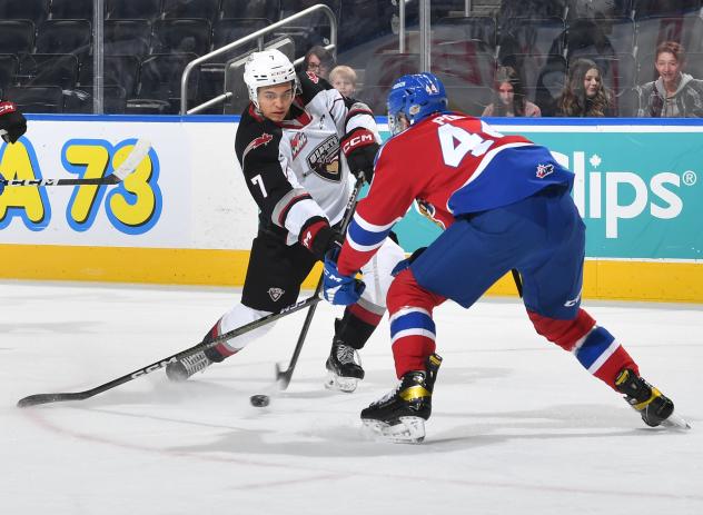 Vancouver Giants' Ty Halaburda versus Edmonton Oil Kings' Vojtech Port