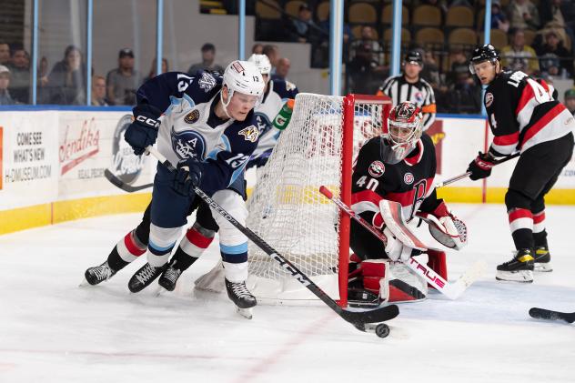Belleville Senators' Mads Sogaard and Milwaukee Admirals' Juuso Parssinen
