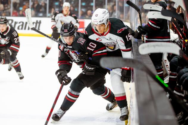 Vancouver Giants' Frantisek Formanek battles Red Deer Rebels' Jaden Lipinski