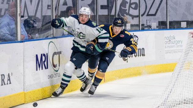 Maine Mariners forward Nick Jermain (left) skates against the Norfolk Admirals