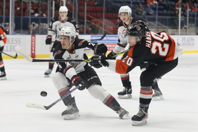 Vancouver Giants' Brenden Pentecost versus Medicine Hat Tigers' Cru Hanas