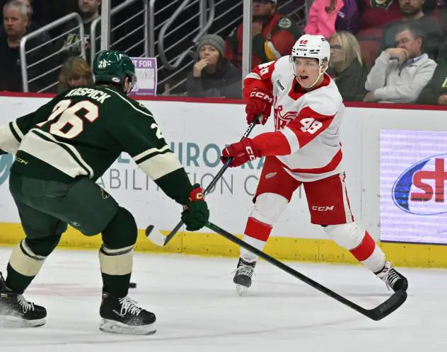 Iowa Wild's Tanner Kaspick Battles Grand Rapids Griffins' Jonatan Berggren