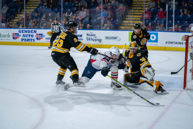 Springfield Thunderbirds battle the Providence Bruins