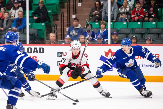 Belleville Senators' Ridly Greig versus Toronto Marlies' Nick Abruzzese