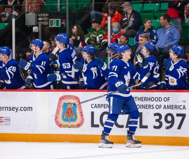 Toronto Marlies celebrate win
