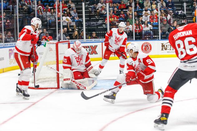 Grand Rapids Griffins in action
