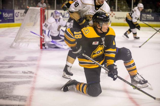 Maine Mariners forward Nick Jermain in the team's Bruins-inspired jersey