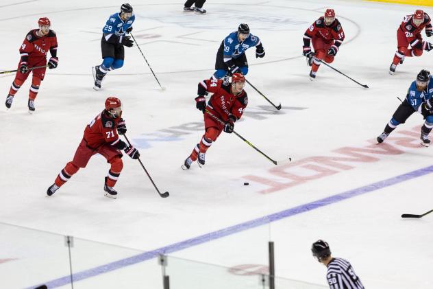 Rapid City Rush battle the Idaho Steelheads
