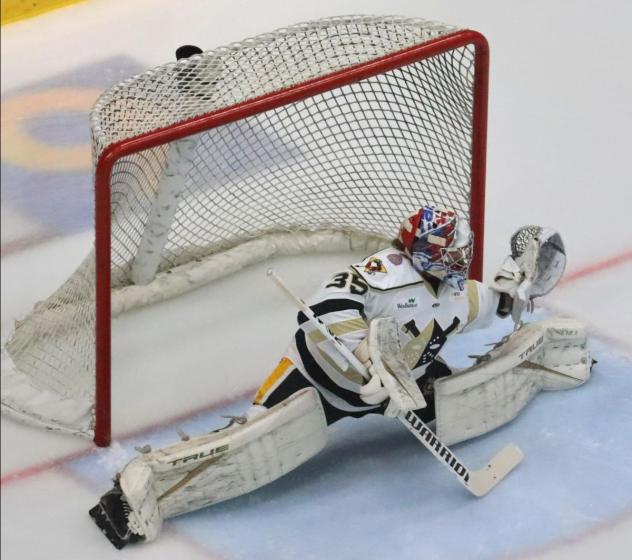 RYAN BEDNARD of the Wheeling Nailers in action