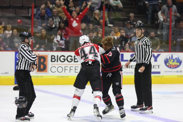 Cincinnati Cyclones' Brandon in action