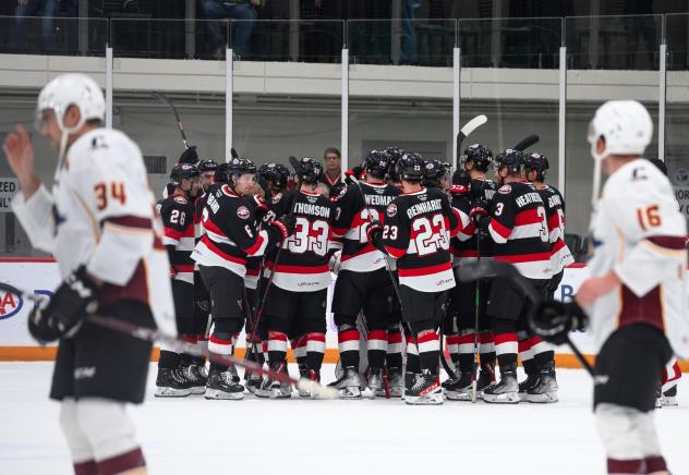 Belleville Senators celebrate win