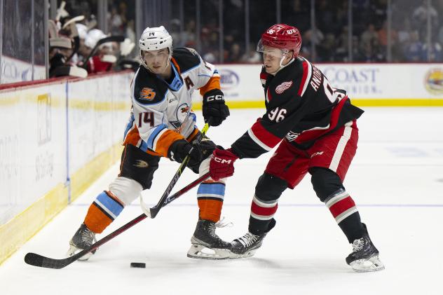 San Diego Gulls' Danny O'regan Battles Grand Rapids Griffins' Pontus Andreasson