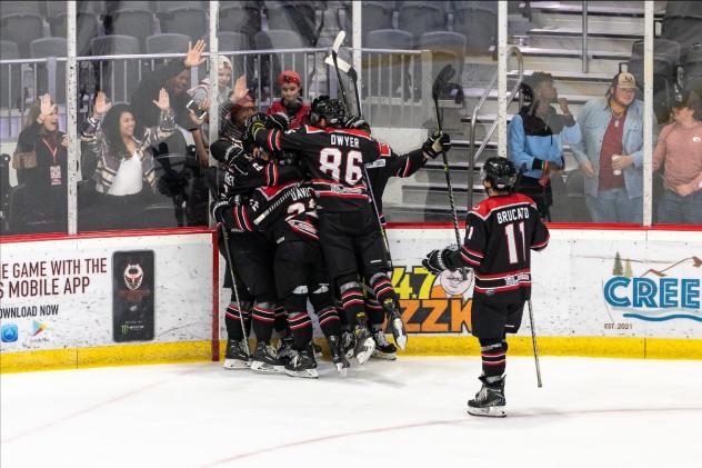 Birmingham Bulls celebrate a goal