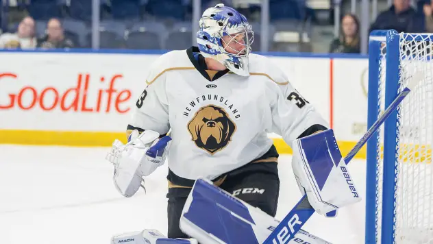 Newfoundland Growlers goaltender Luke Cavallin