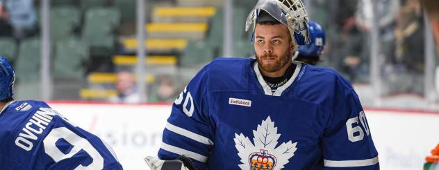 Goaltender Talor Joseph with the Toronto Marlies