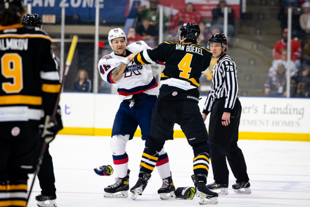 Wheeling Nailers' Jack Van Boekel Battles Kalamazoo Wings' Anthony Collins