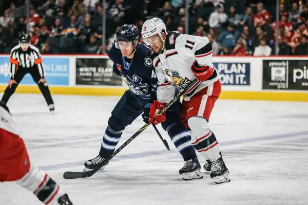 Grand Rapids Griffins' Joel L'Esperance battles Daniel Torgersson of the Manitoba Moose