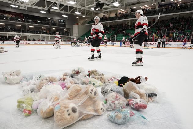 Bears on the ice for Teddy Bear Toss Night