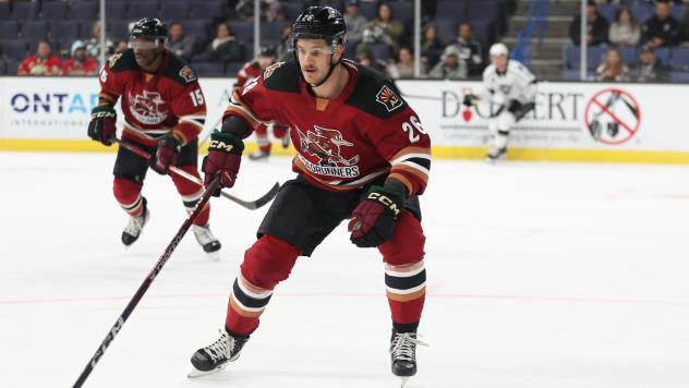 Tucson Roadrunners' Bokondji Imama And Travis Barron In Action