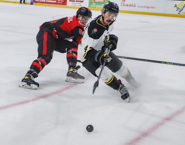 Cincinnati Cyclones battle the Iowa Heartlanders