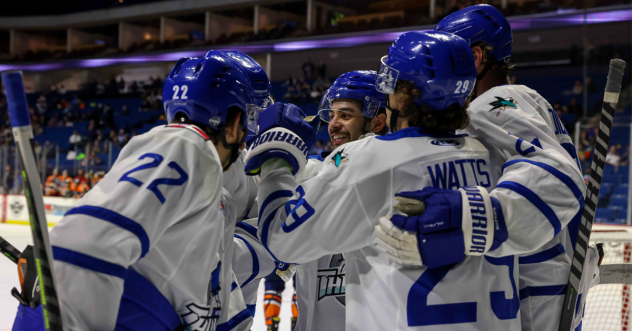 Wichita Thunder exchange congratulations after a goal