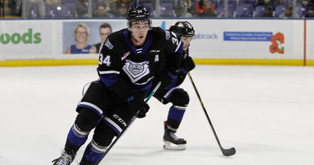 Victoria Royals right wing Jake Poole