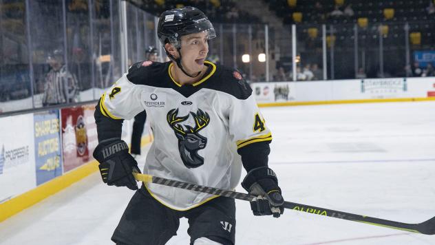Iowa Heartlanders forward Michael Pastujov