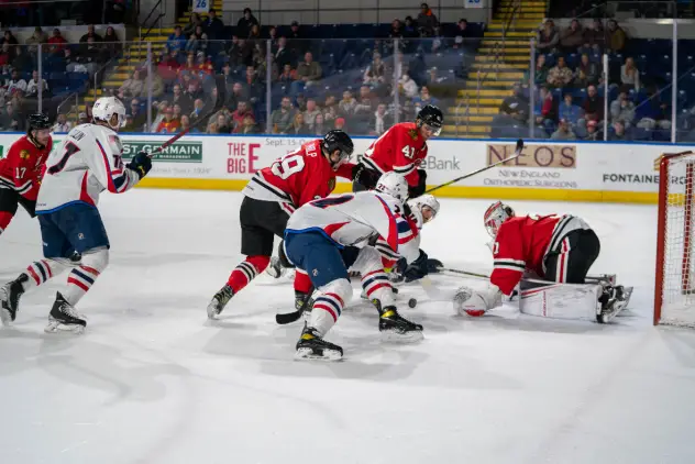 Springfield Thunderbirds battle the Rockford IceHogs