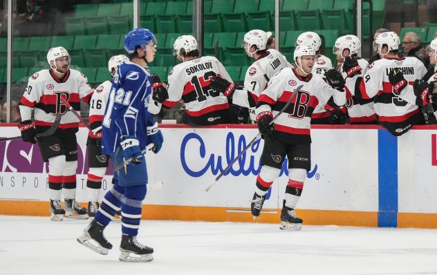 Belleville Senators celebrate win