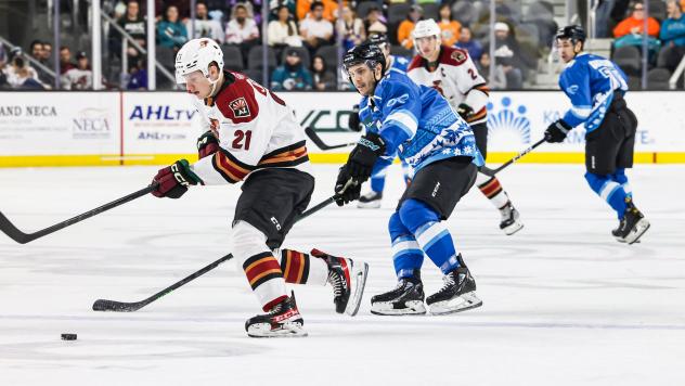 Tucson Roadrunners' Jan Jenik In Action