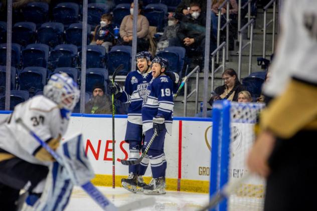 Worcester Railers celebrate against the Newfoundland Growlers