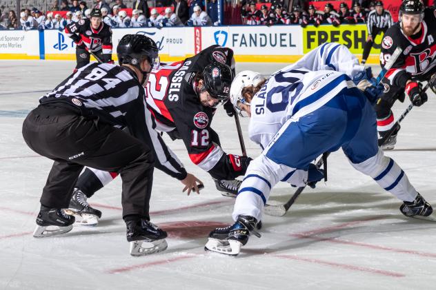 Belleville Senators' Cole Cassels And Toronto Marlies' Graham Slaggert In Action