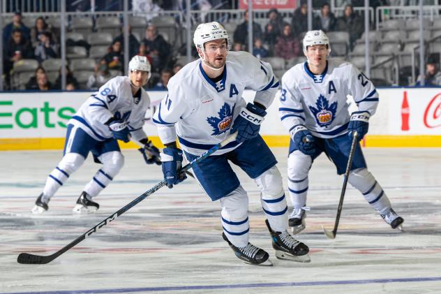 Toronto Marlies' Mikko Kokkonen, Logan Shaw And Joey Anderson On The Ice