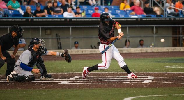 Washington Wild things outfielder Anthony Brocato