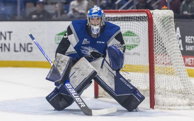 Saint John Sea Dogs goaltender Nikolas Hurtubise