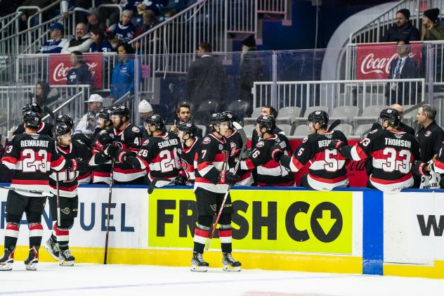 Belleville Senators celebrate win over Marlies