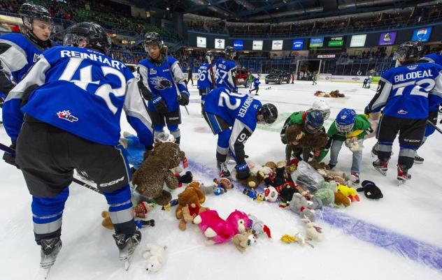 Saint John Sea Dogs collect stuffed animals