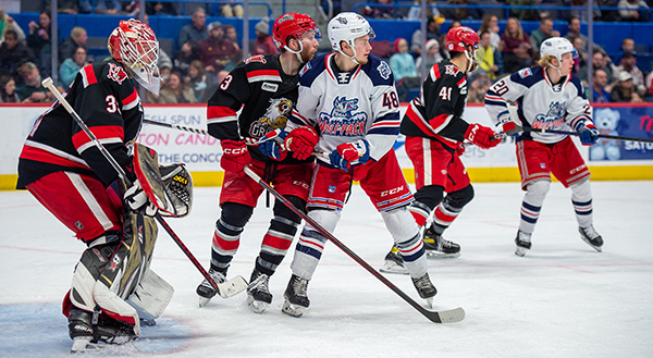 Grand Rapids Griffins battle the Hartford Wolf Pack