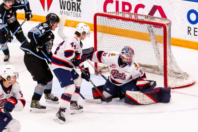 Regina Pats defenceman Stanislav Svozil (44)