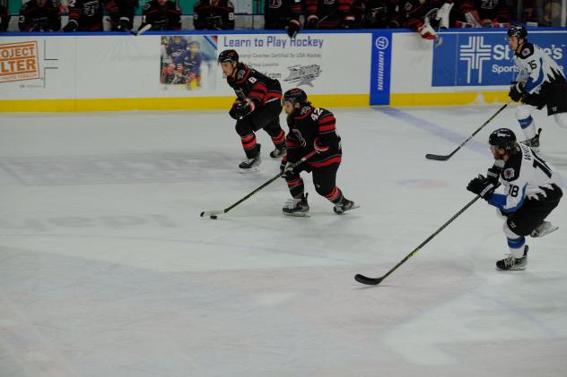 Rapid City Rush's Kenton Helgesen And Alex Aleardi With Idaho Steelheads' Ryan Dmowski And 18 A.j. White On The Ice