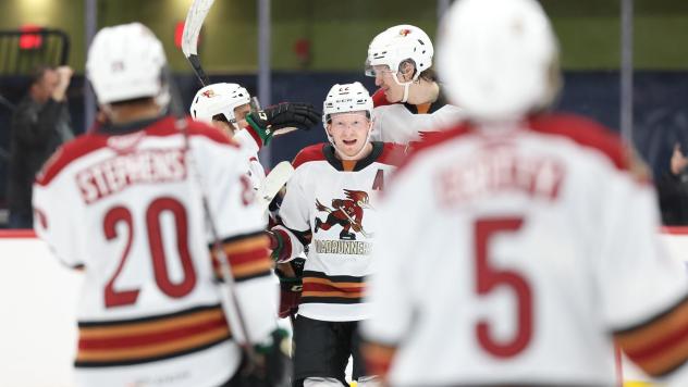 Tucson Roadrunners on game day