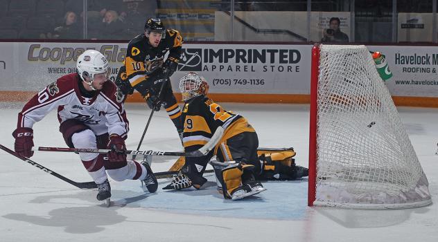 Peterborough Petes'  J.R. Avon battles Hamilton Bulldogs' Logan Morrison and Gavin White