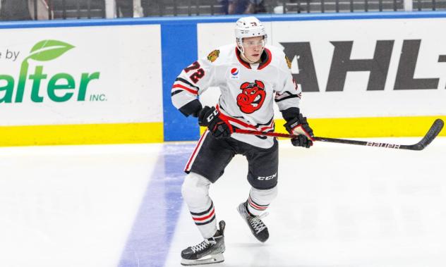 Rockford IceHogs defenseman Alex Vlasic