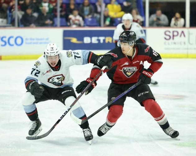 Portland Winterhawks' Marcus Nguyen battles Vancouver Giants' Jaden Lipinski